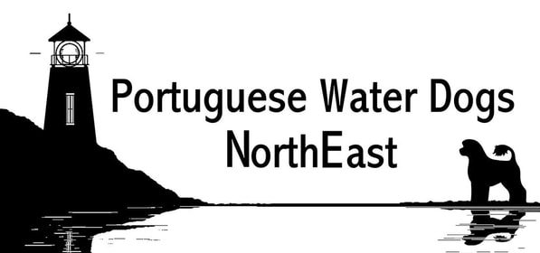 PORTUGUESE WATER DOGS OF THE NORTHEAST